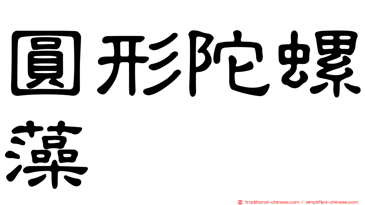 圓形陀螺藻