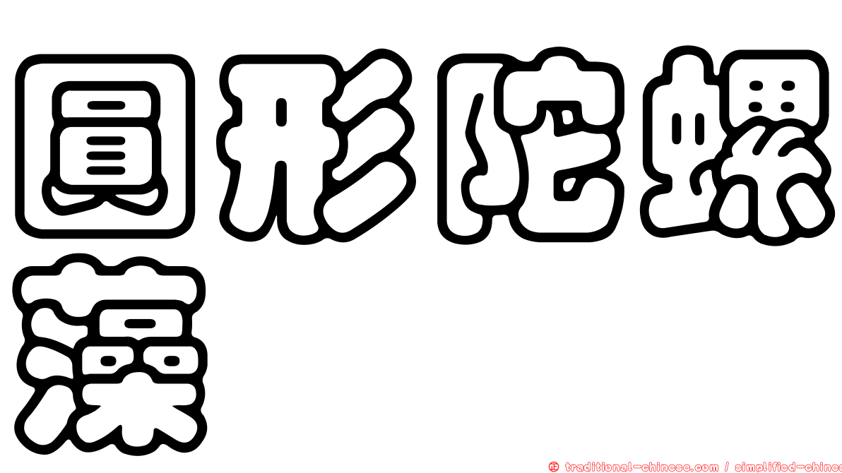 圓形陀螺藻