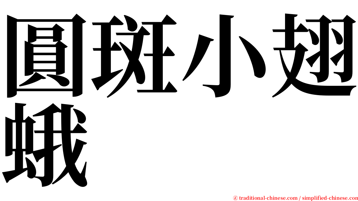 圓斑小翅蛾 serif font