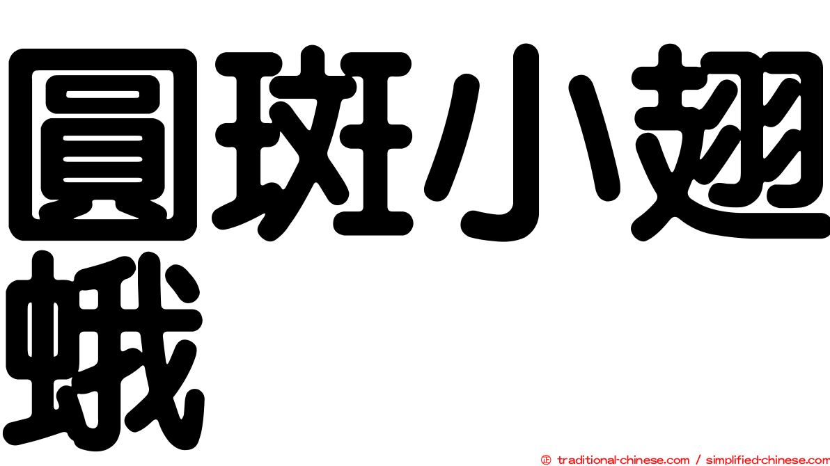 圓斑小翅蛾