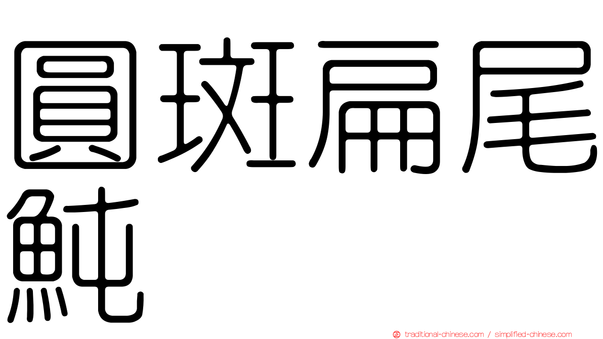 圓斑扁尾魨