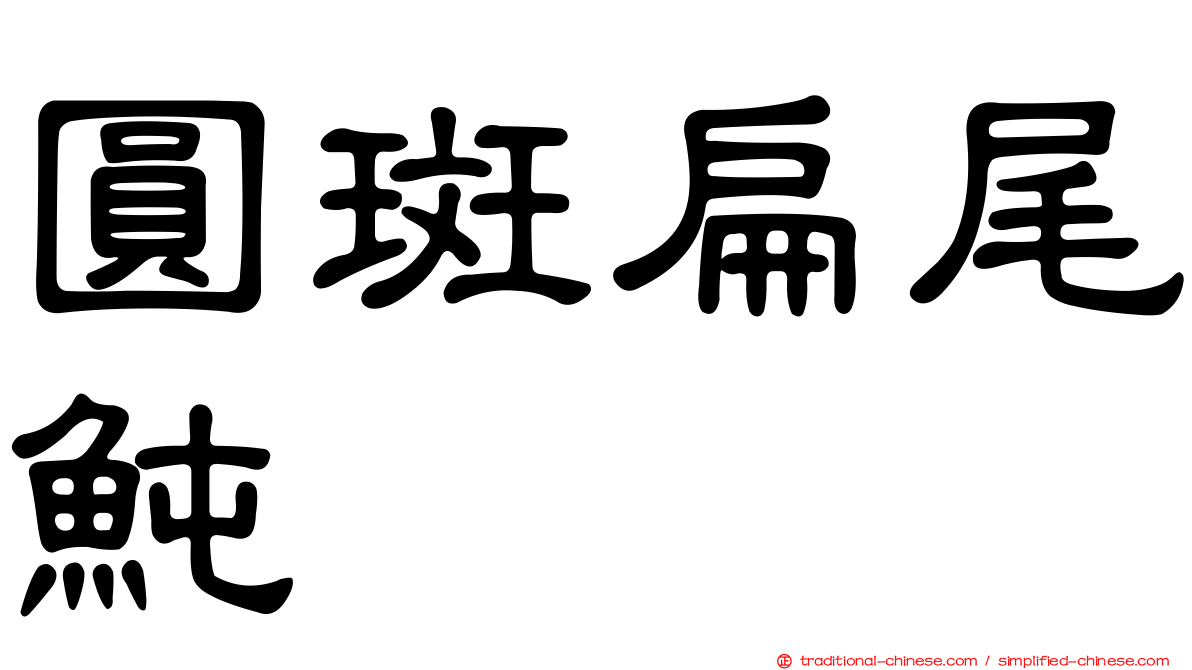 圓斑扁尾魨