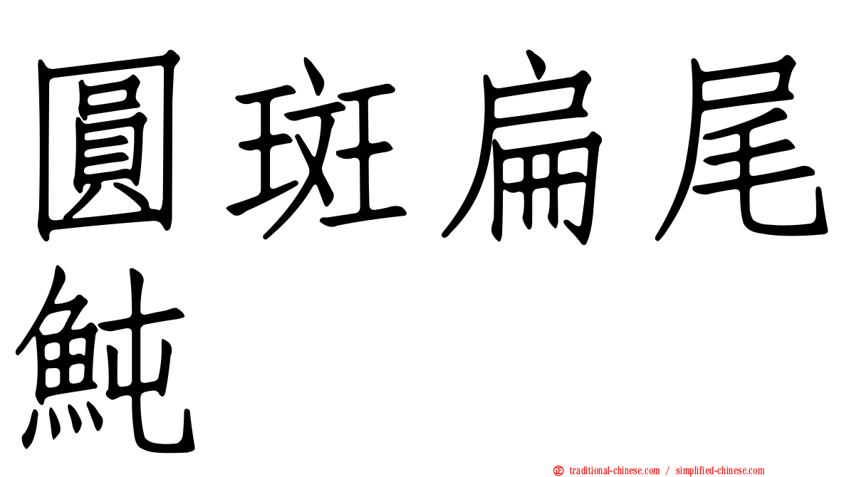 圓斑扁尾魨