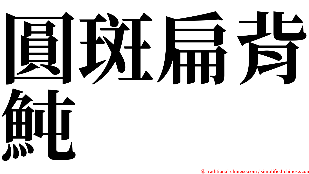 圓斑扁背魨 serif font