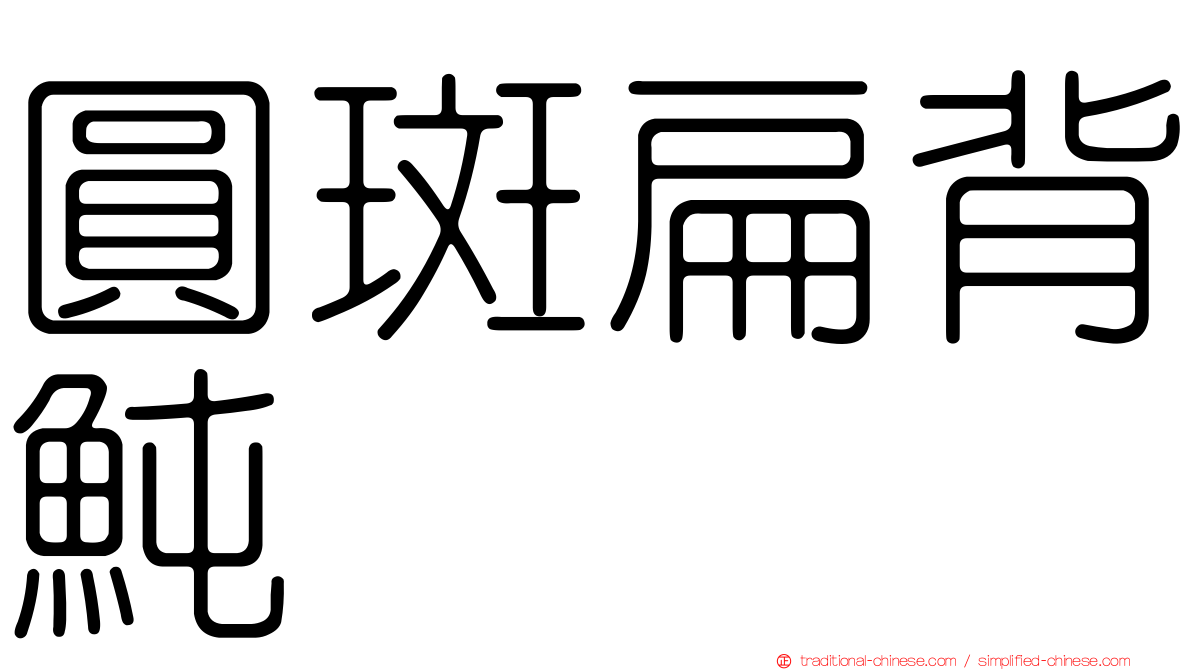 圓斑扁背魨