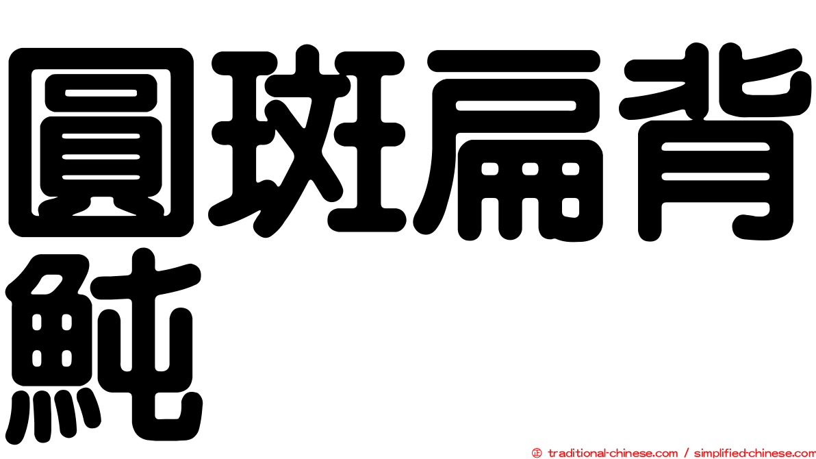 圓斑扁背魨