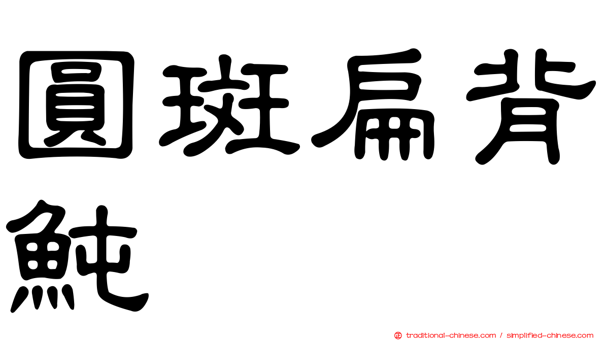 圓斑扁背魨