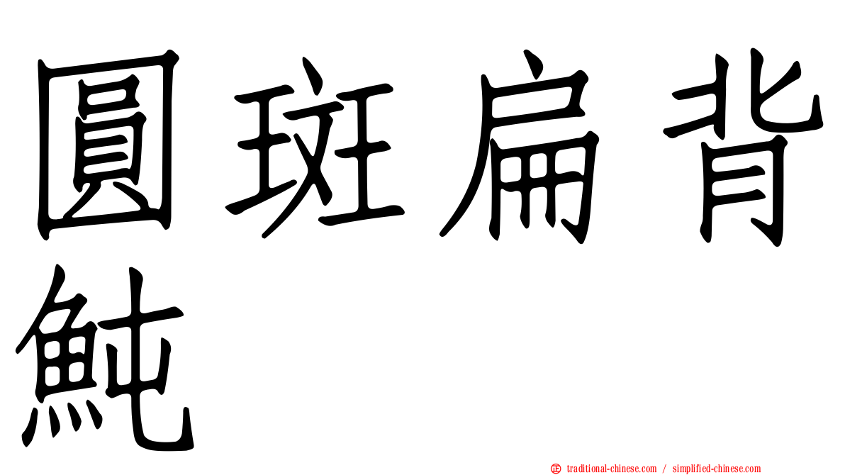 圓斑扁背魨
