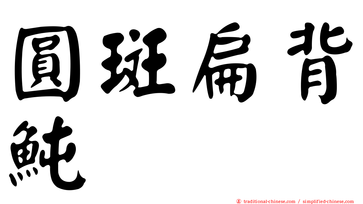 圓斑扁背魨