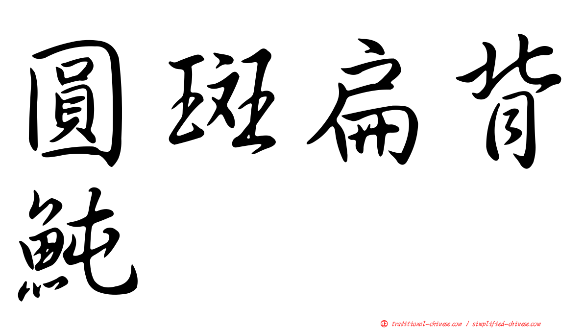 圓斑扁背魨