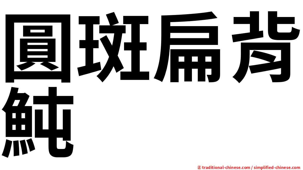 圓斑扁背魨