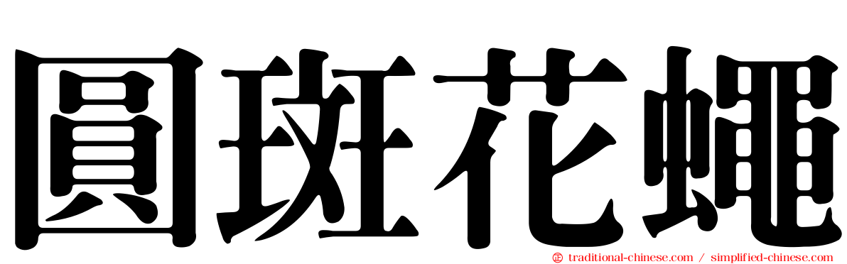 圓斑花蠅