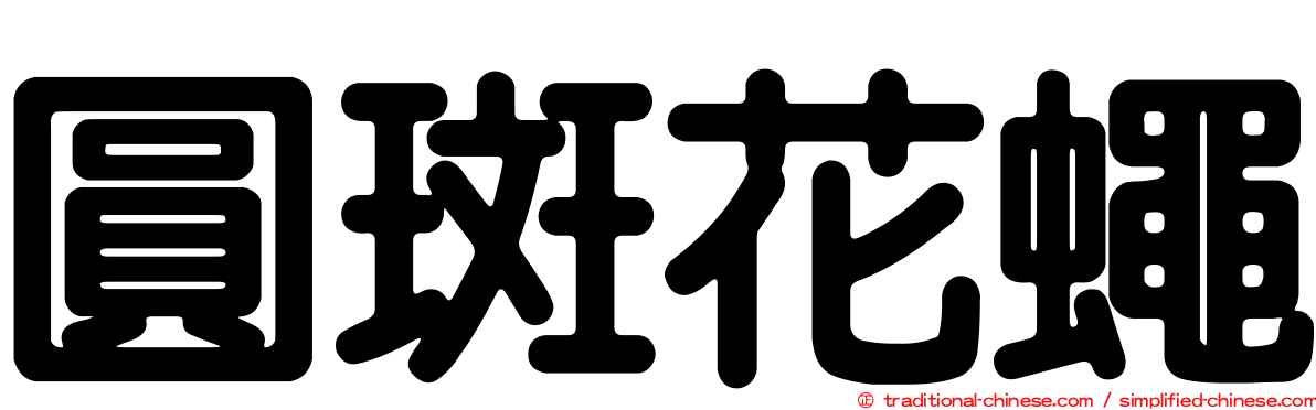 圓斑花蠅