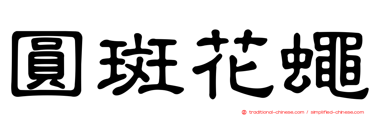 圓斑花蠅