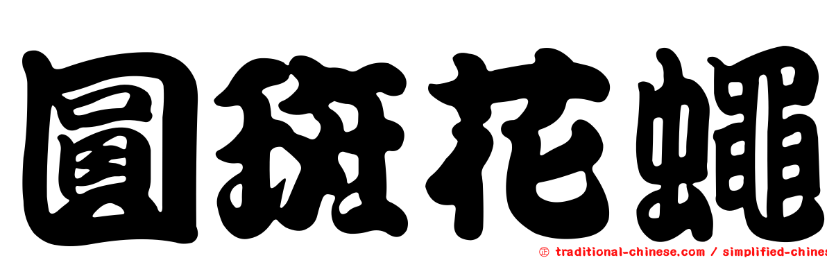 圓斑花蠅