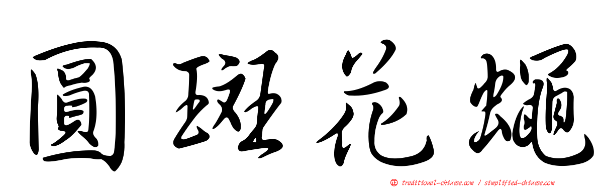圓斑花蠅