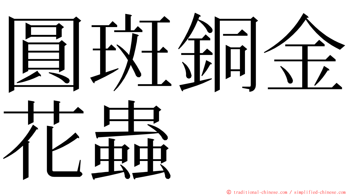 圓斑銅金花蟲 ming font