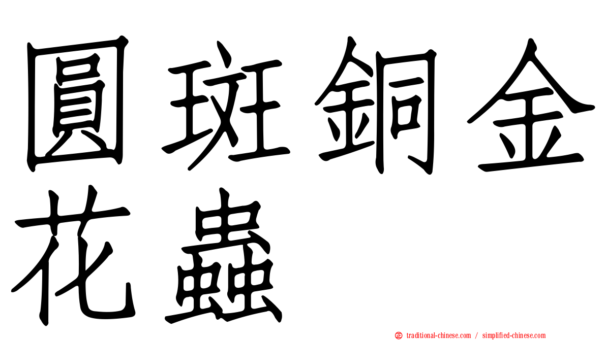圓斑銅金花蟲
