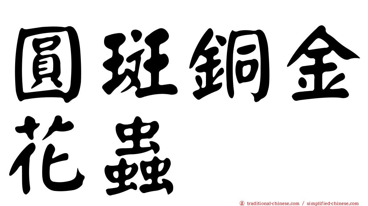 圓斑銅金花蟲