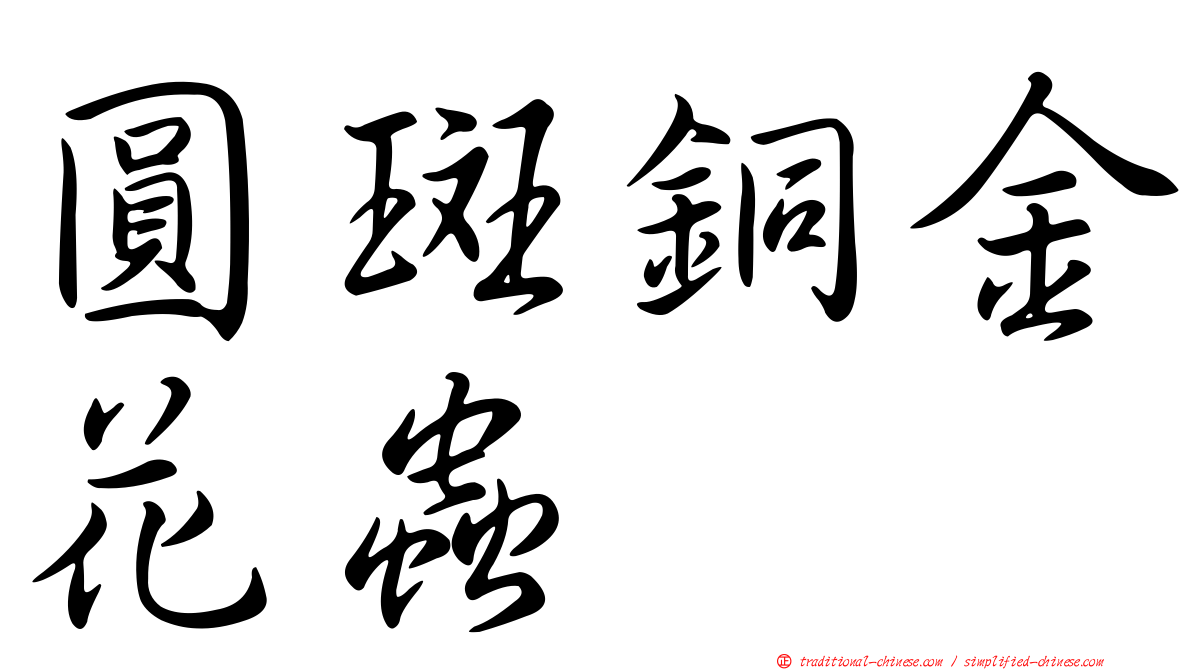 圓斑銅金花蟲