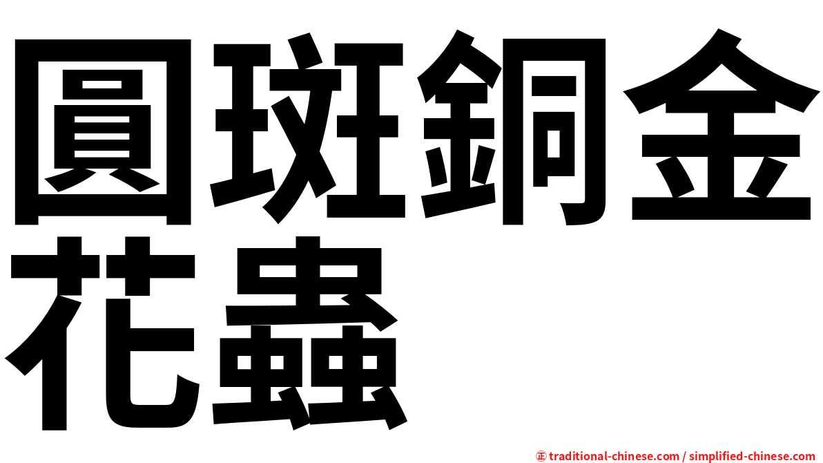 圓斑銅金花蟲