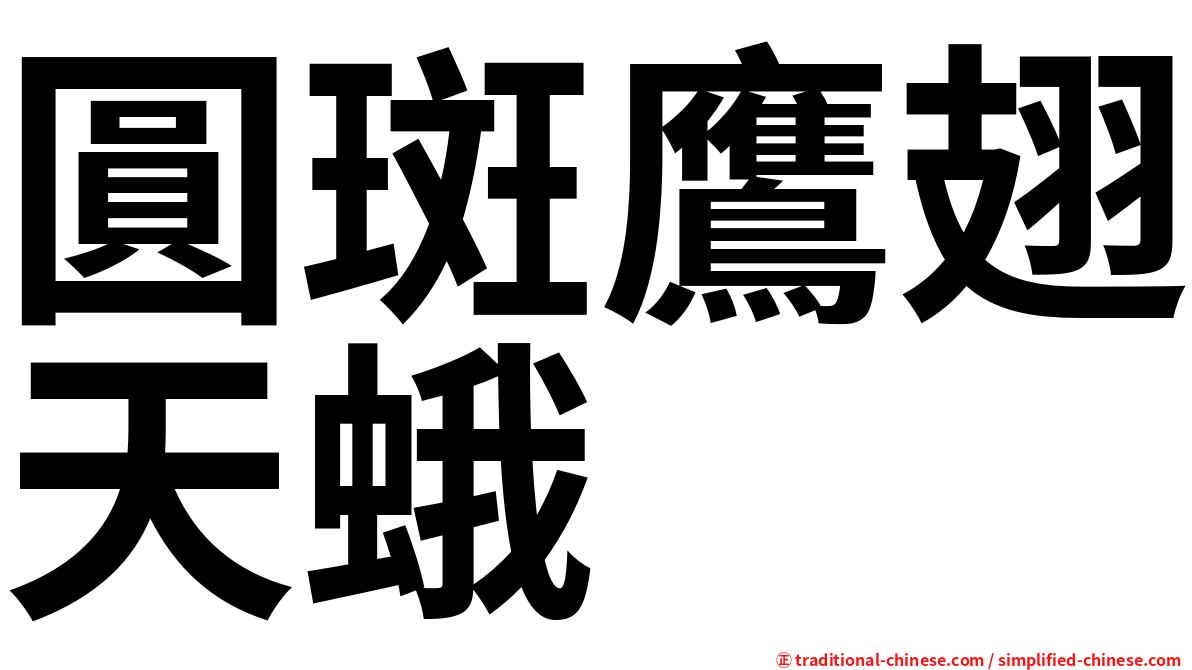 圓斑鷹翅天蛾