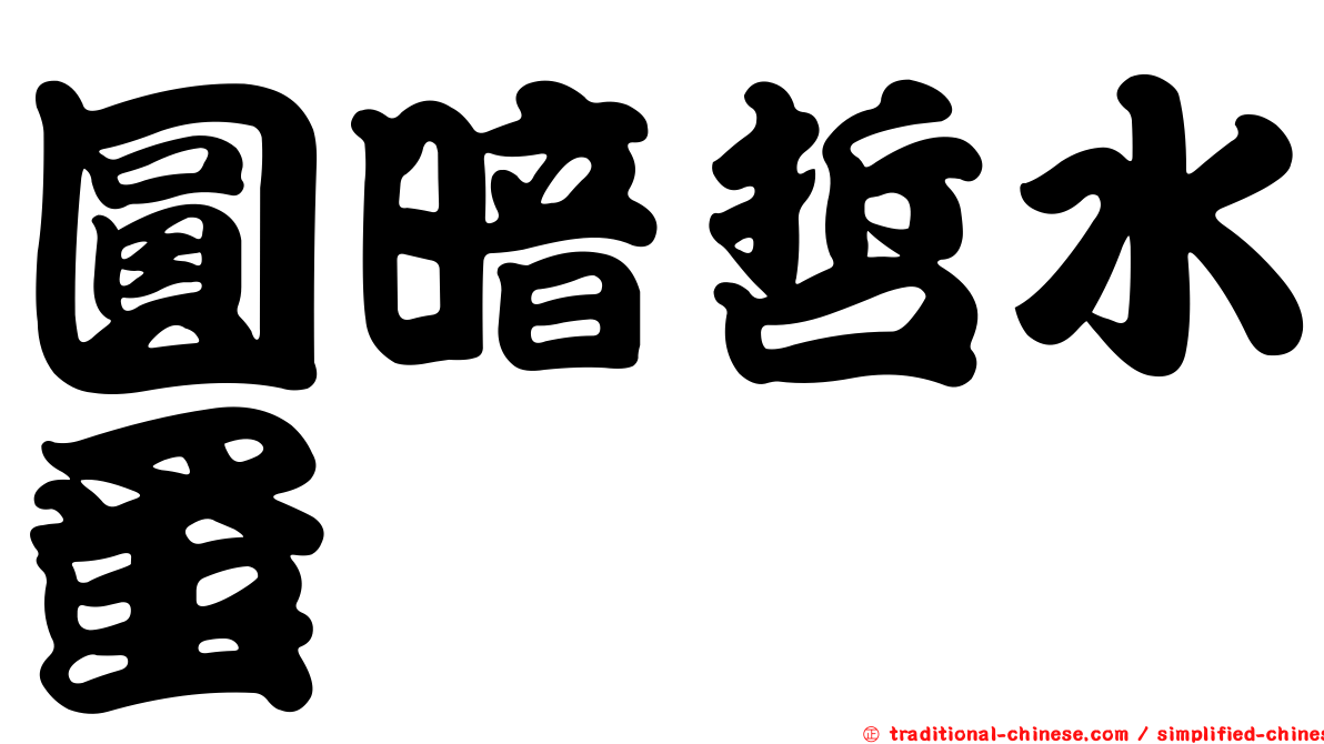圓暗哲水蚤