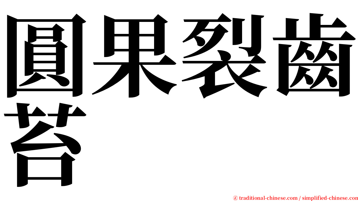 圓果裂齒苔 serif font