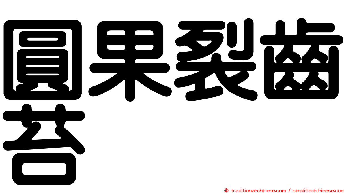 圓果裂齒苔