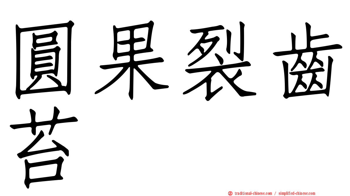 圓果裂齒苔