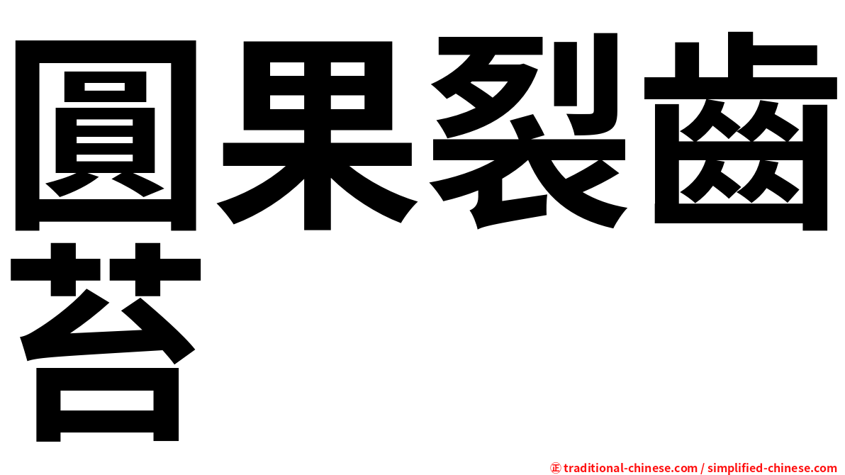 圓果裂齒苔