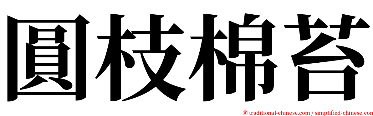 圓枝棉苔 serif font