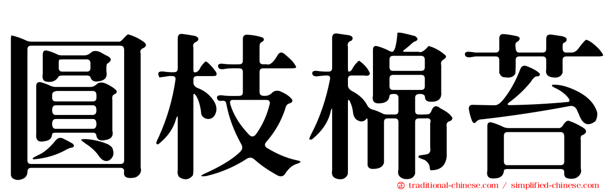 圓枝棉苔