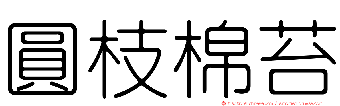 圓枝棉苔