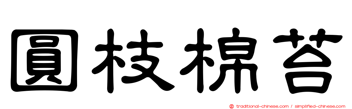 圓枝棉苔