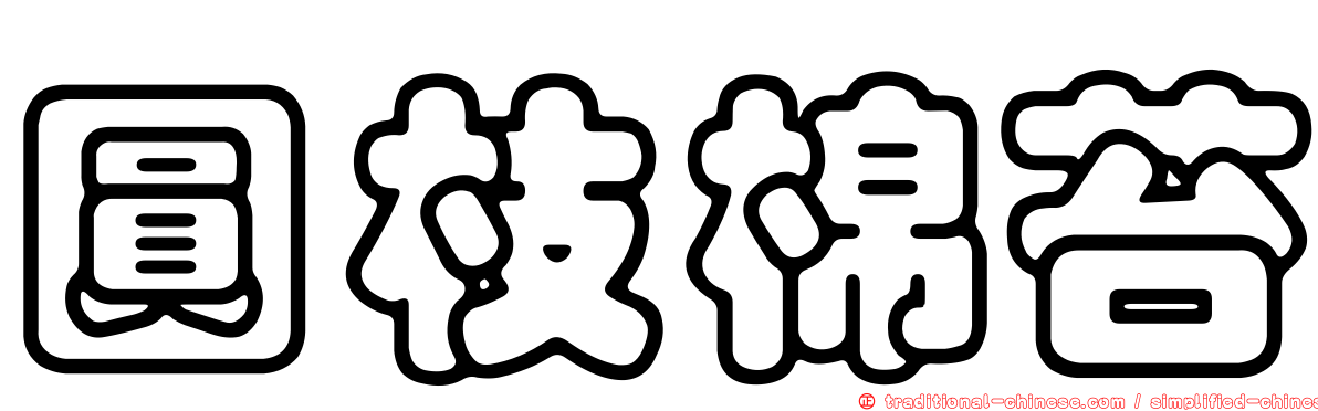圓枝棉苔