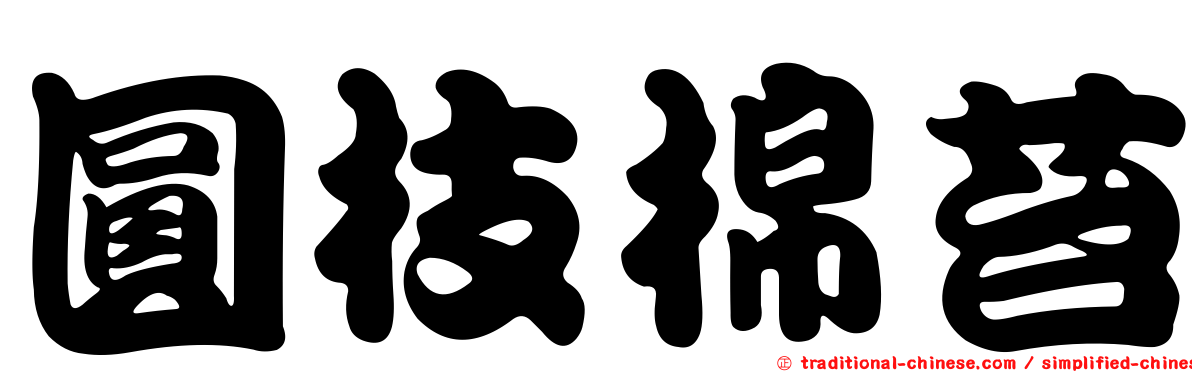 圓枝棉苔