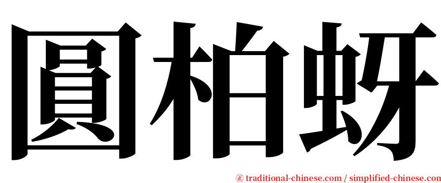 圓柏蚜 serif font