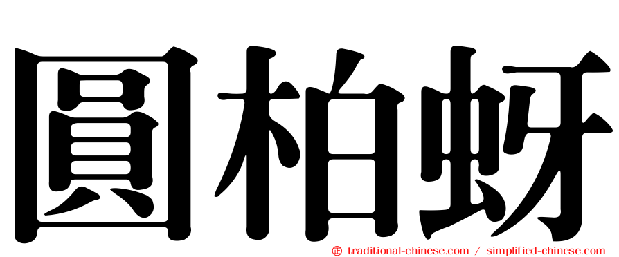 圓柏蚜