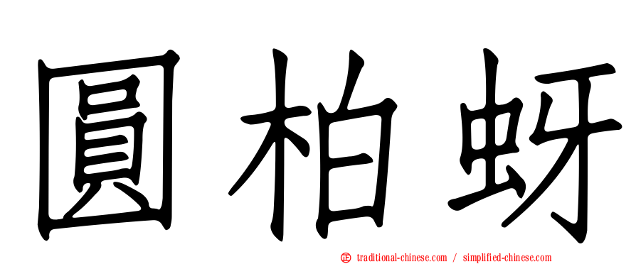 圓柏蚜