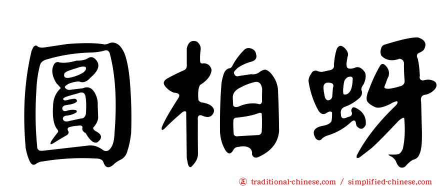 圓柏蚜