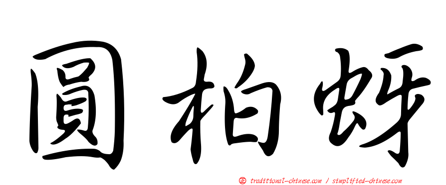 圓柏蚜