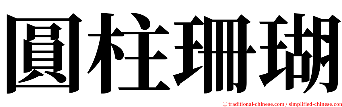 圓柱珊瑚 serif font