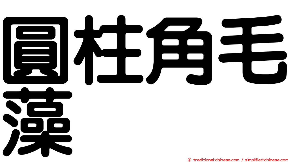 圓柱角毛藻
