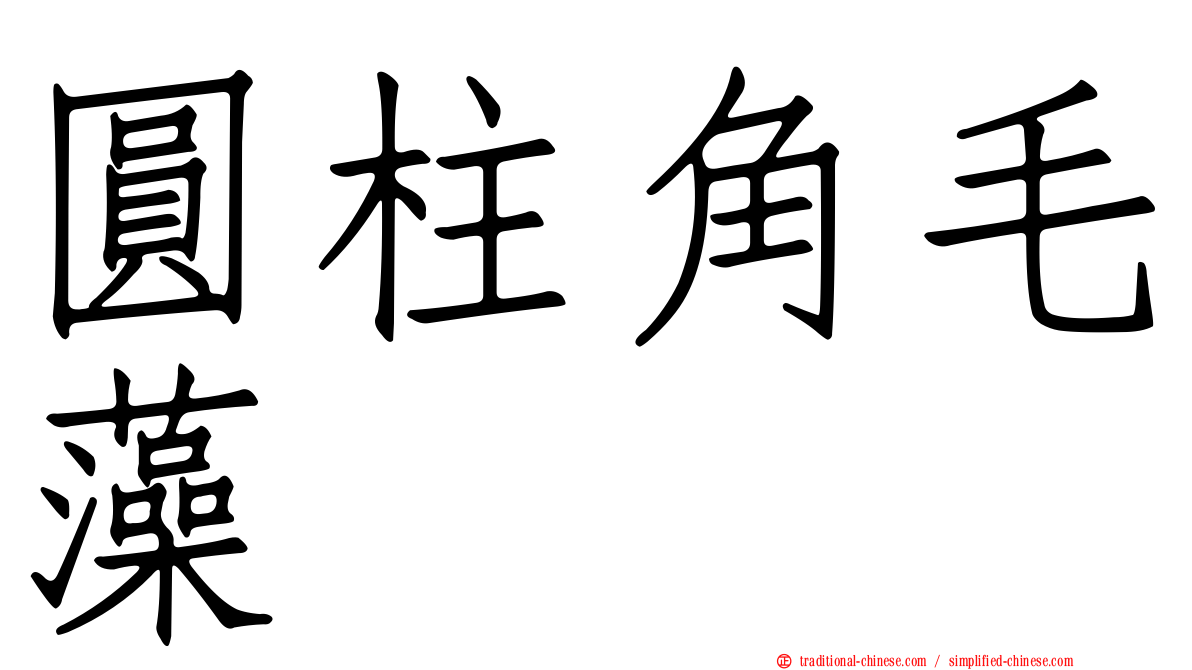 圓柱角毛藻