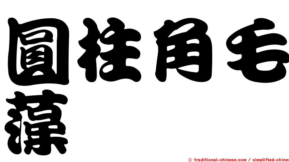 圓柱角毛藻