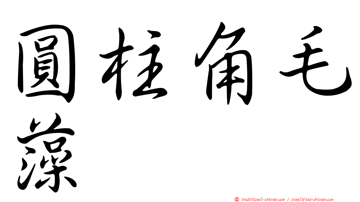 圓柱角毛藻