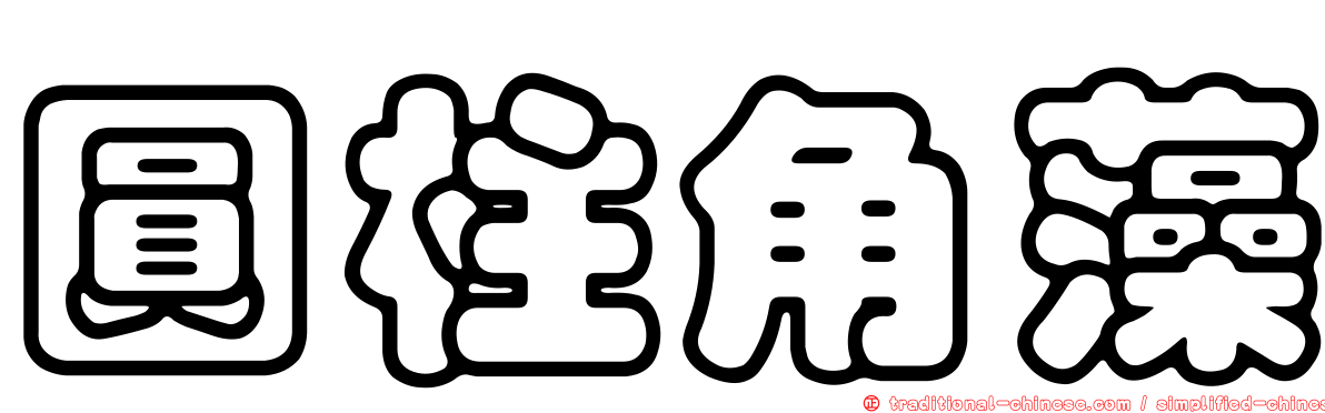 圓柱角藻