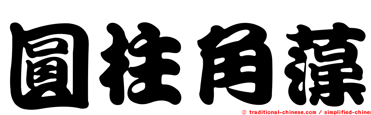圓柱角藻