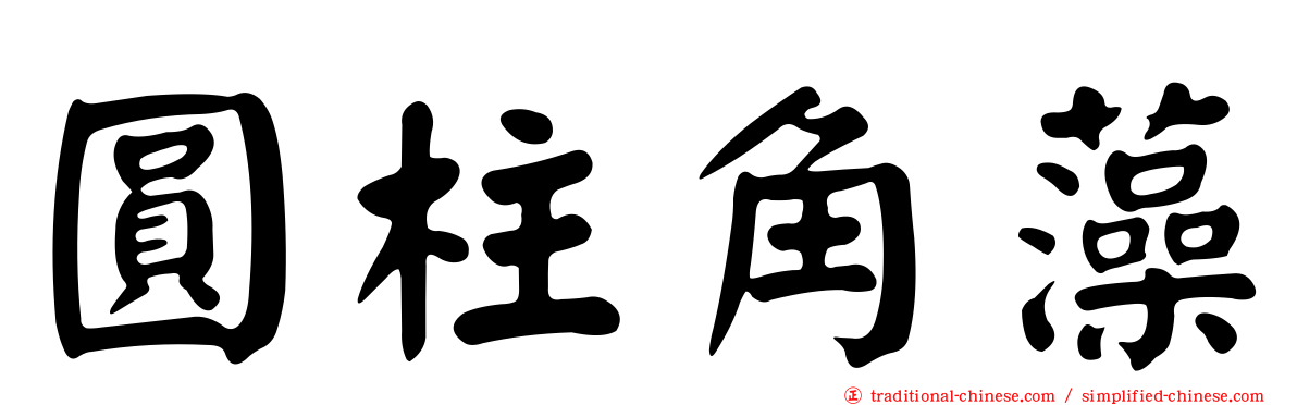 圓柱角藻